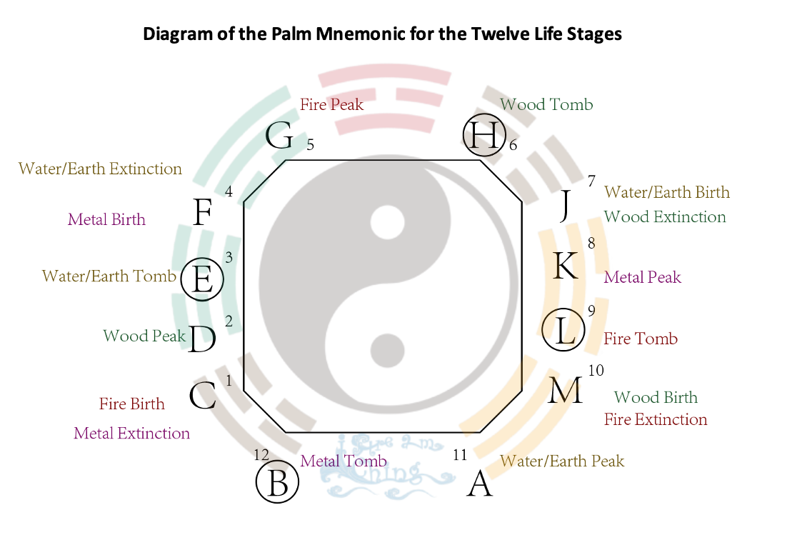 Diagram of Palm Mnemonic for Twelve Life Stages