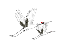 Crane
